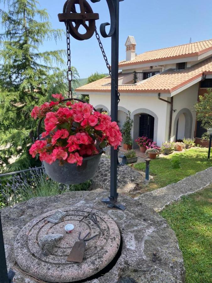 Anna Holiday home *